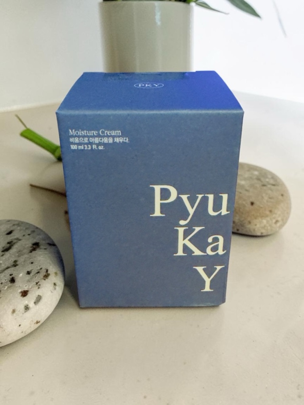 Pyunkang Yul Moisture Cream 100ml | Korean Skincare Hydrating Cream NEW